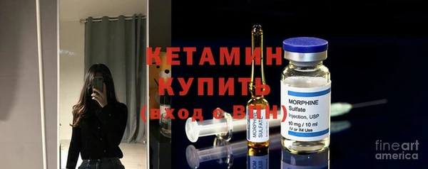 индика Пестово