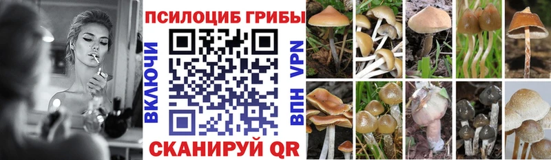 Псилоцибиновые грибы MAGIC MUSHROOMS  Медынь 