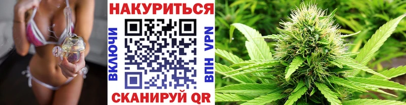 Бошки Шишки AK-47  Медынь 